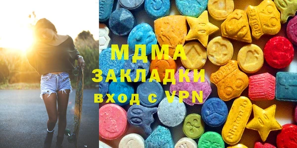 мдпв Ельня
