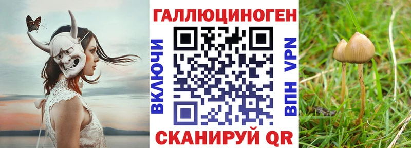 Галлюциногенные грибы Magic Shrooms  Тавда 
