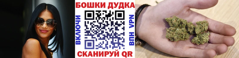 Конопля ГИДРОПОН Тавда